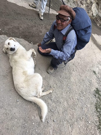 سگ با وفا و خوشگلی که موقع صعود همراهمان آمد تا جان پناه و موقع برگشت هم آمده بود به استقبال و تا لحظات آخر هم بدرقه مان کرد